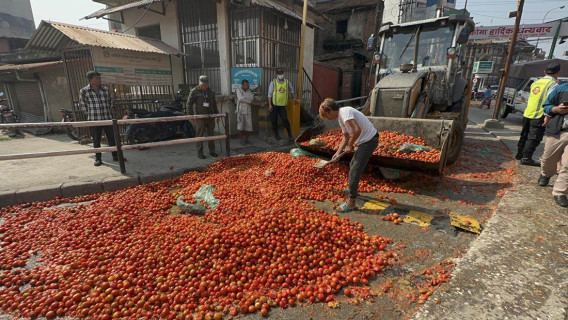 सदनमा उठ्यो किसानले सडकमा गोलभेँडा फालेको विषय